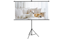 Οθόνη προβολέας